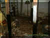 basement2.jpg (30735 bytes)