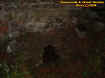 ruinstunnel.jpg (38128 bytes)