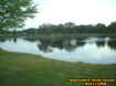 pond4.jpg (32519 bytes)