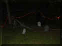 2007graveyard1.jpg (20823 bytes)