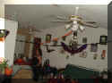 2007partydecor.jpg (25149 bytes)