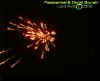 july2006fireworks2.jpg (16092 bytes)