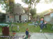 luaubackyard.jpg (50079 bytes)