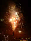 newyears2004fireworks2.jpg (29612 bytes)